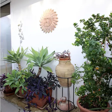 The Fruit Apartment