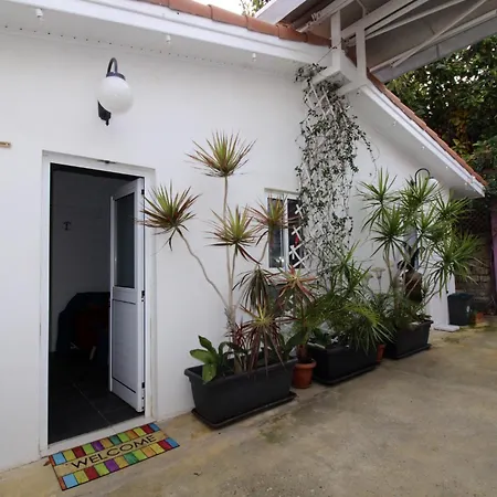 The Fruit Apartment *